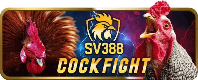Trò chuyện trực tuyến mcw19 win